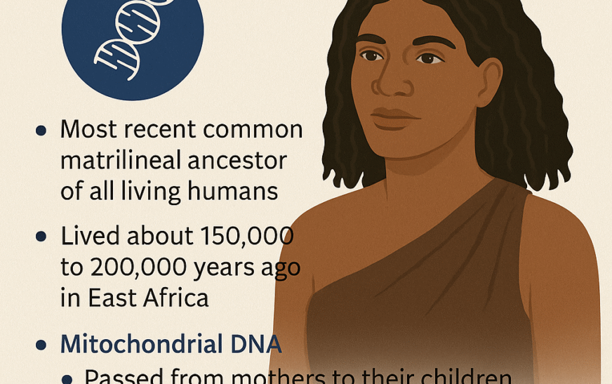 Mitochondrial Eve